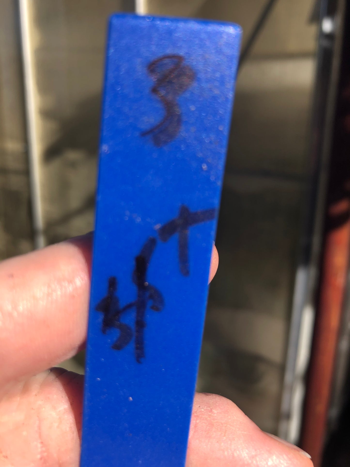 Euphorbia anoplia Green Tanzanian Zipper 4"Tall  #3B