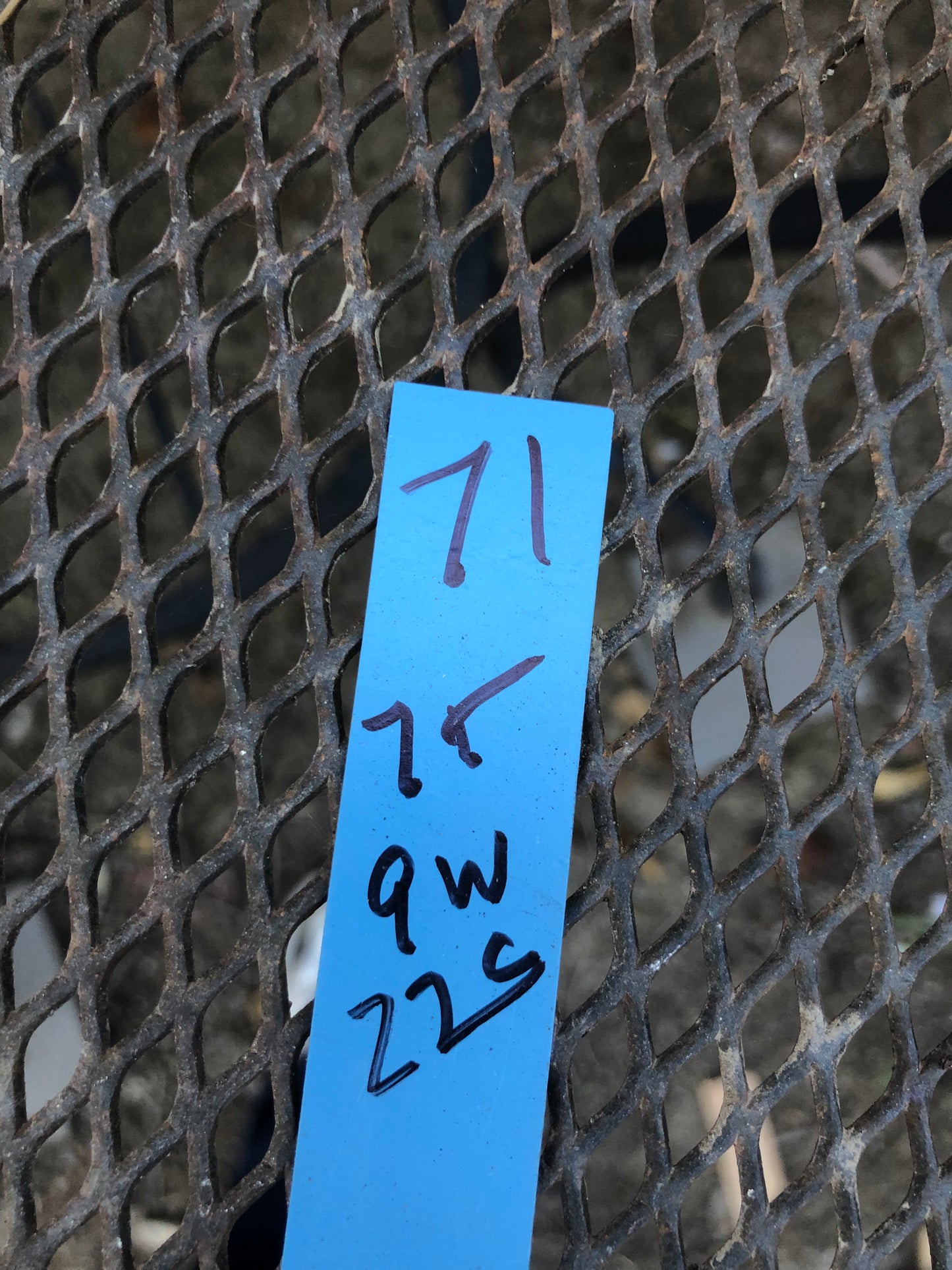 Guinea-fowl aloe Extra Large Aristaloe aristata 9”Wide 7”Tall #71B