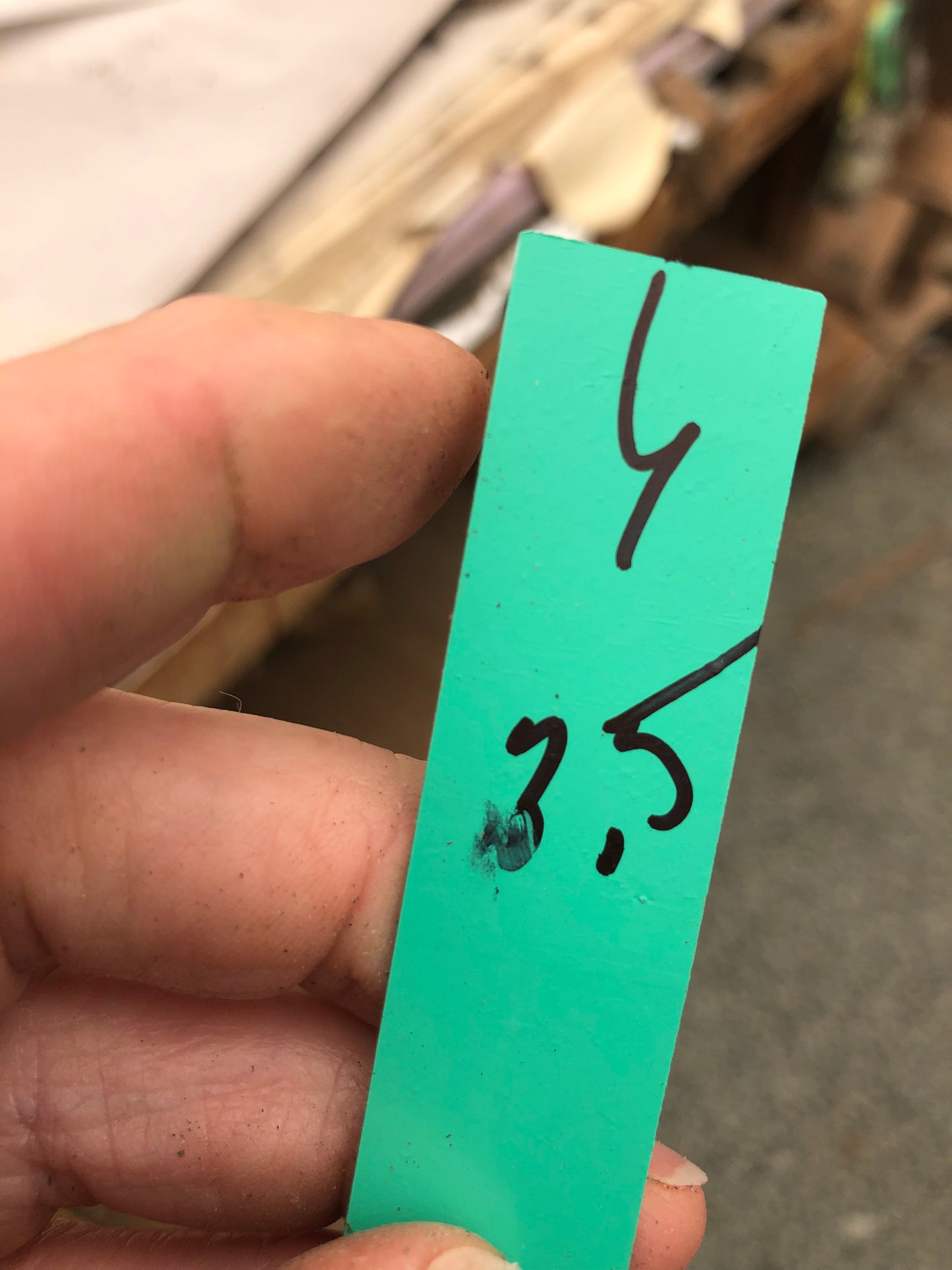 Euphorbia anoplia Green Tanzanian Zipper 3.5"Tall #6G