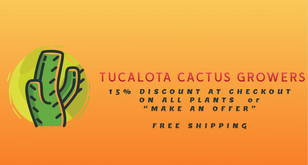 Tucalota Cactus Growers
